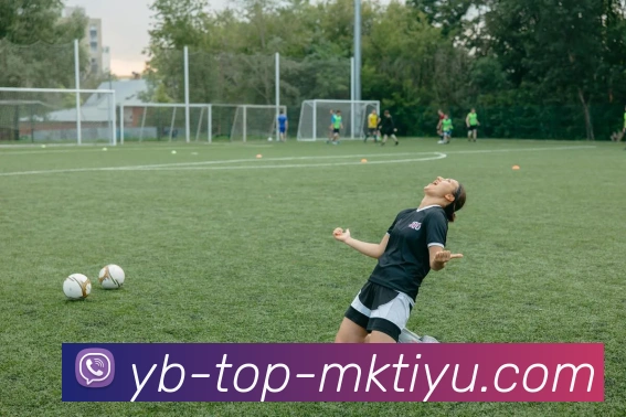 MK体育APP 封面图